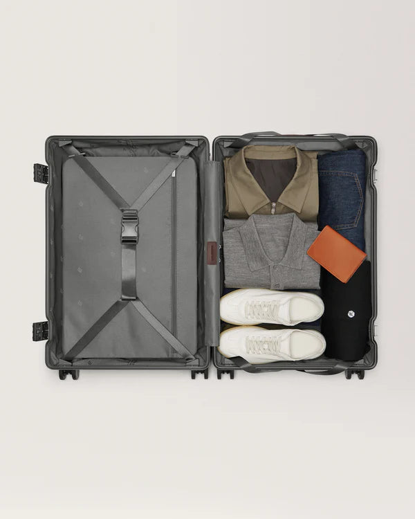 CARL FRIEDRIK - THE CHECK IN