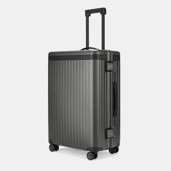 CARL FRIEDRIK - THE CHECK IN